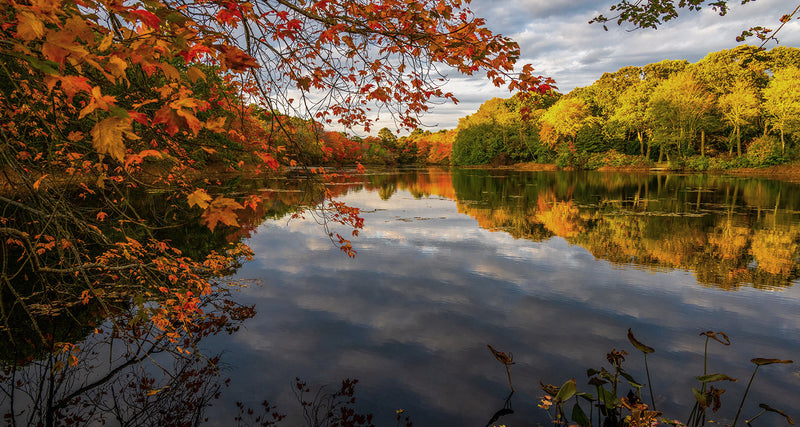 Loz’s Top 5 Tips for Autumn Carp Fishing