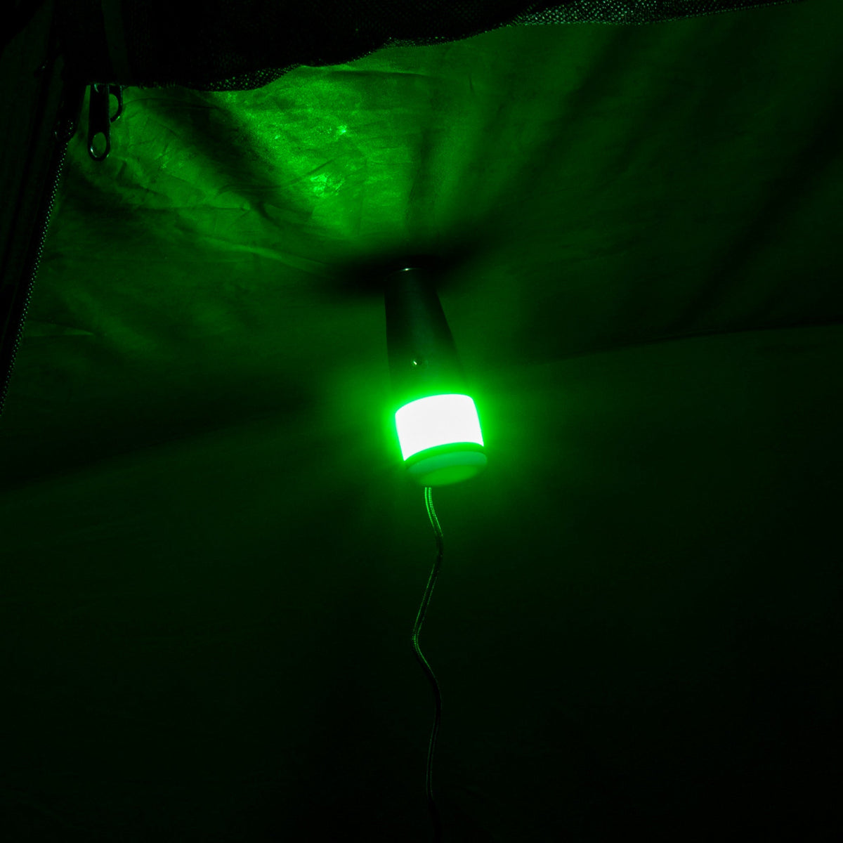 Multi Lite Plus