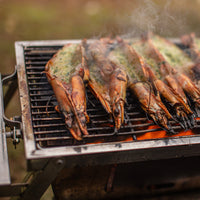 Grilla BBQ Dual Fuel