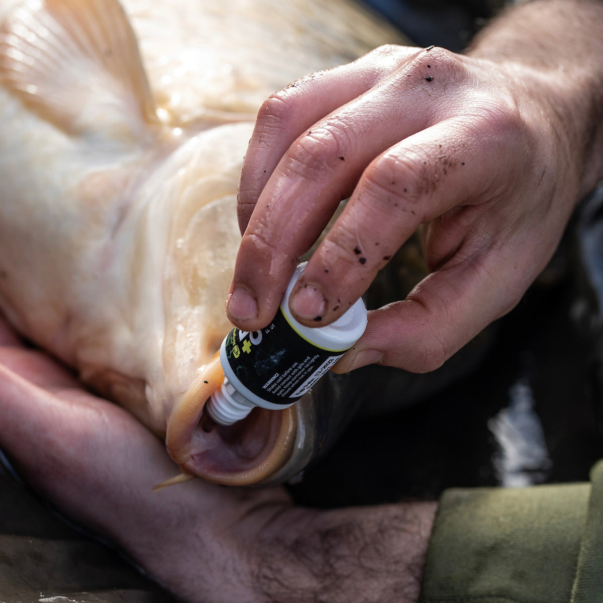 ProCare Fishcare Solution