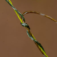 Connexion Shock Weave Braided Shock Leader