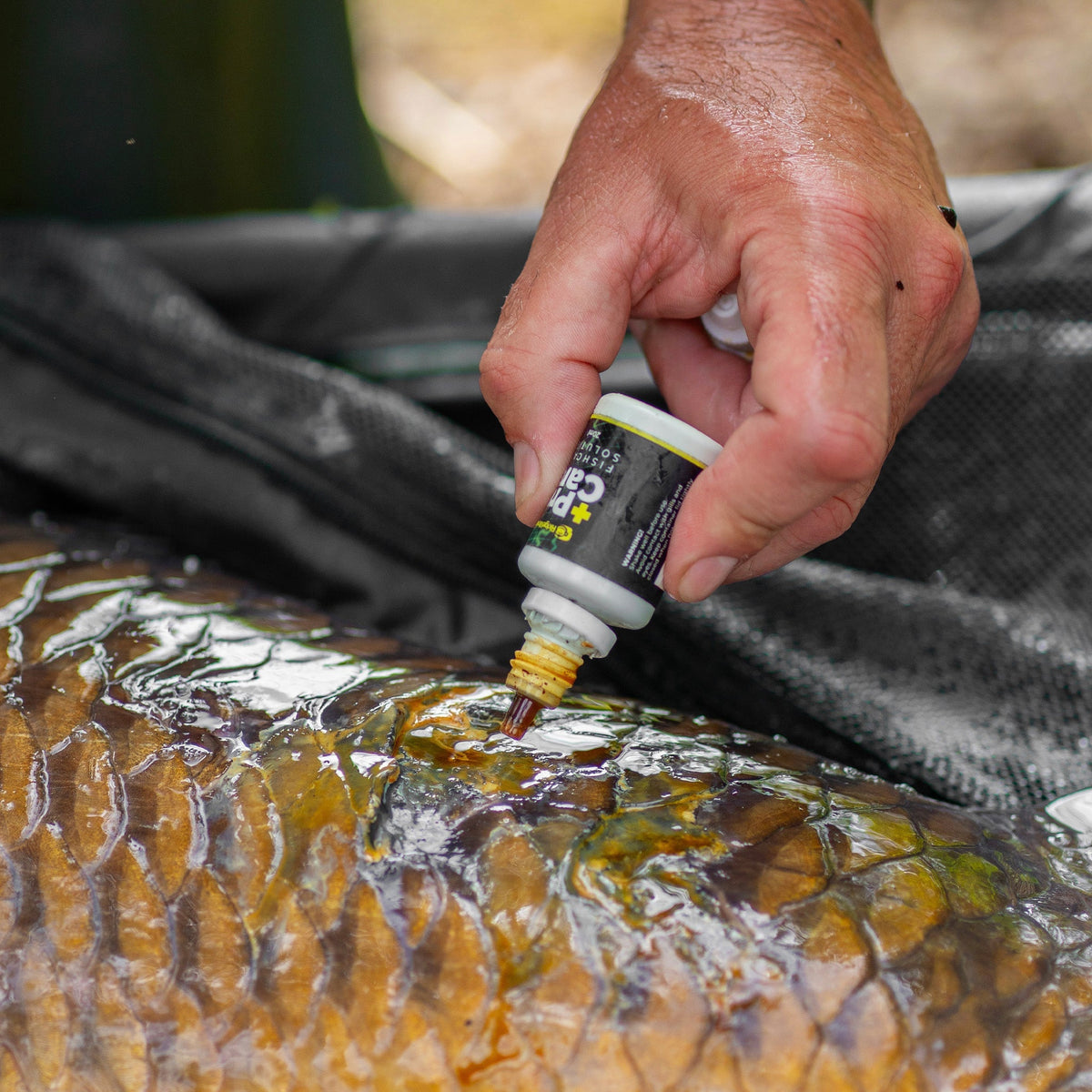 ProCare Fishcare Solution