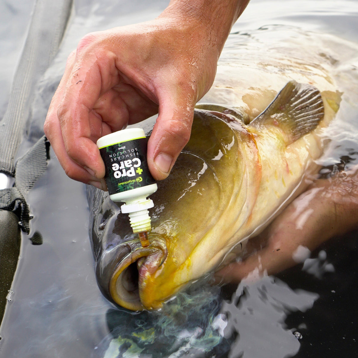ProCare Fishcare Solution