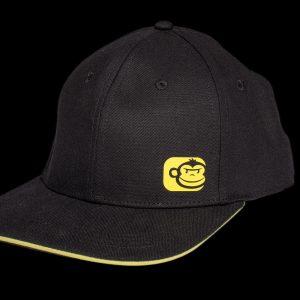 APEarel SpaortFlex Snapback Cap2